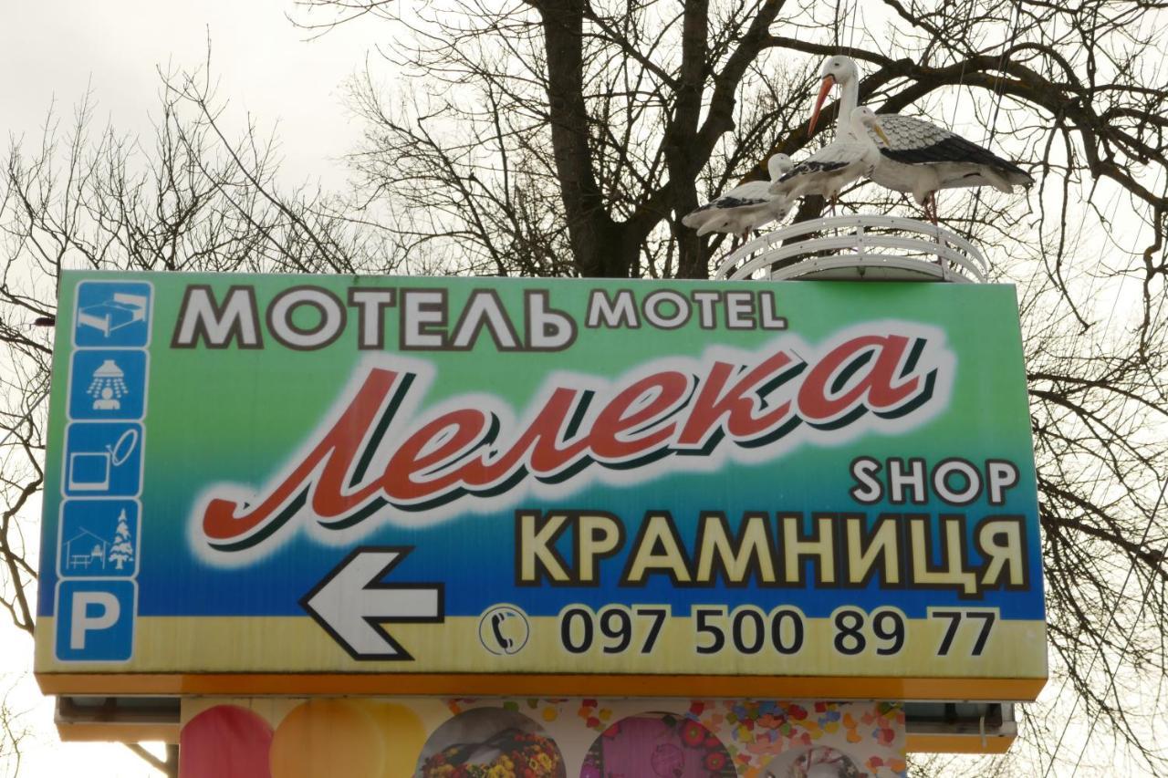Pensjonat Лелека Dilyatyn Zewnętrze zdjęcie