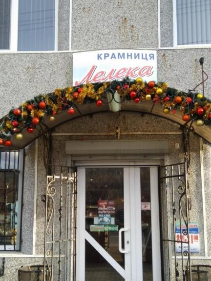 Pensjonat Лелека Dilyatyn Zewnętrze zdjęcie